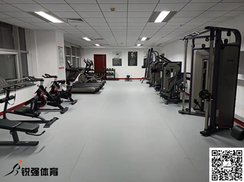 济南某集团采购的熊猫体育官方网站体育提供的健身器材