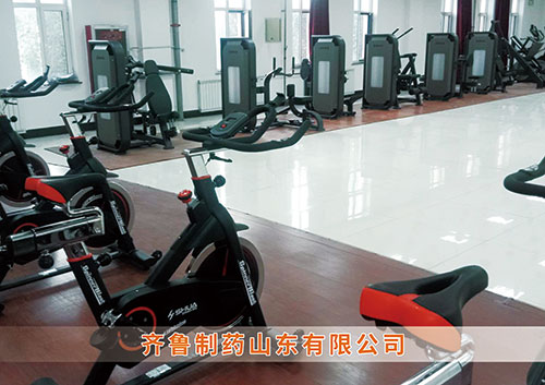 ​熊猫体育官方网站体育为齐鲁制药呼和浩特分公司打造健身房