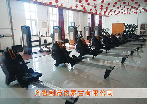 熊猫体育官方网站体育为​齐鲁制药内蒙古分公司打造健身房